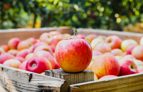Kalendar ljepote RUJAN - NiKEL kozmetika
